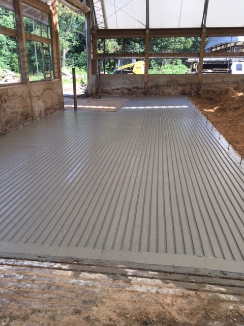 Covered dairy barn grooved concrete for traction